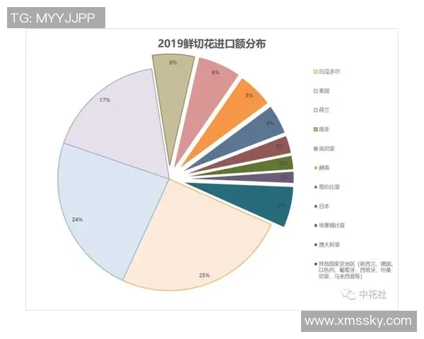 独家分析：西安网球队的配合对比